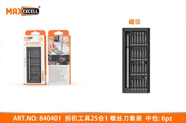 SET CACCIAVITI DI PRECISIONE MAGNETICO 25IN1