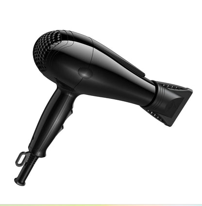 Asciugacapelli Eurus Dry 2100 Watt