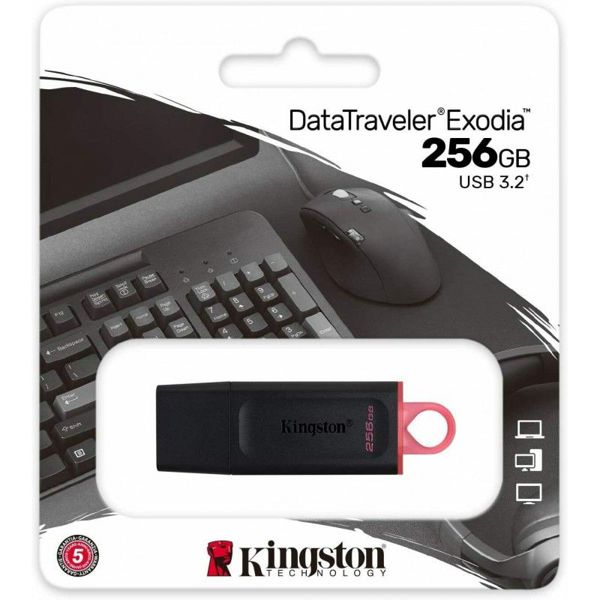 KINGSTON 256GB flash drive