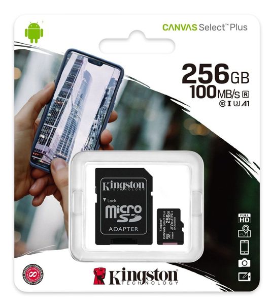 256GB MICRO SD CARD